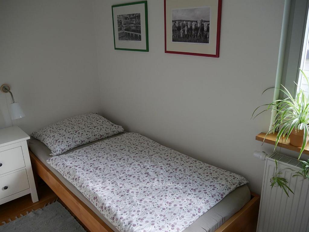 Irreler Muehle Ferienwohnungen Und Ferienhaeuser Buitenkant foto