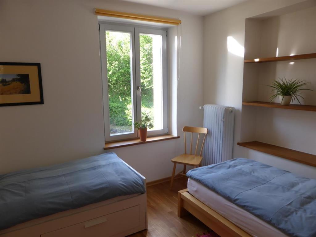 Irreler Muehle Ferienwohnungen Und Ferienhaeuser Buitenkant foto